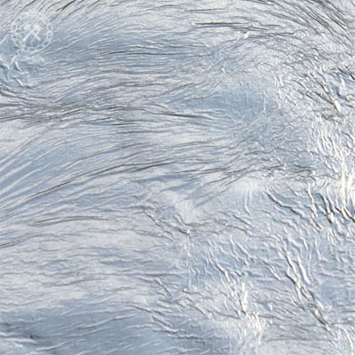 Silver Leaf